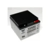 Juego de 2 baterías plomo 12V 24Ah para mesa de operación CMAX Stéris