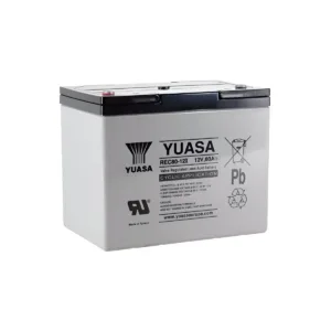 Batería 12V 80Ah dimensiones 259x168x212 mm para silla de ruedas y scooter movilidad