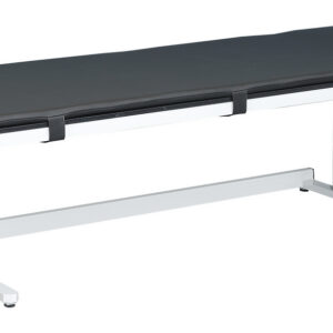 Mesa de rayos X eléctrica AGA-POWER-LIFT