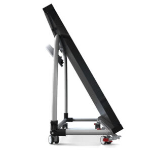 Báscula de Plataforma Digital GIMA WUNDER RW2.0 MOVE con Corrimano y 4 Ruedas – 300 kg, Clase III (Ref. 25027)