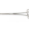 BOZEMAN FORCEPS - STRAIGHT - 26 cm