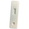 CHLAMYDIA RAPID TEST - professional