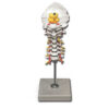 Columna Cervical Modelo Anatómico GIMA – 7 Vértebras Cervicales con Discos Intervertebrales, Médula Espinal y Arterias Vertebrales (Ref. 40136)