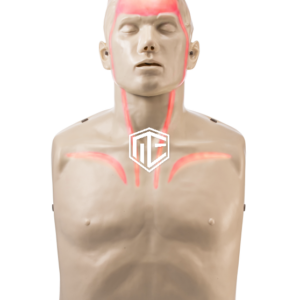 Brayden Adult Advanced – CPR-Trainingspuppe