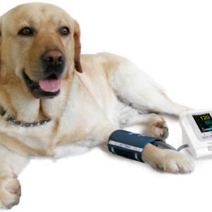 Esfigmomanómetro Electrónico Veterinario GIMA (Ref. 80550) – Tensiómetro Oscilométrico Automático para Animales con Pantalla LCD a Color, Memoria de 100 Registros y 5 Tallas de Manguito
