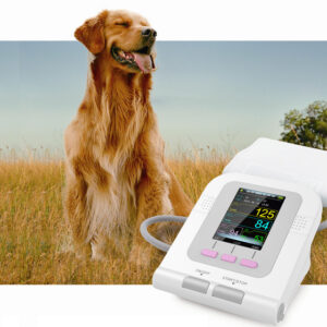 Esfigmomanómetro Electrónico Veterinario GIMA (Ref. 80550) – Tensiómetro Oscilométrico Automático para Animales con Pantalla LCD a Color, Memoria de 100 Registros y 5 Tallas de Manguito