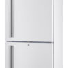 Frigorífico combinado Fiocchetti LABOR 2T 700