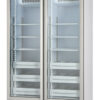 Frigorífico de dos temperaturas Fiocchetti MEDIKA 2T 600
