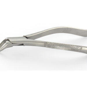 Fórceps de Extracción Dental GIMA FIG. 151 – Universal para Arcada Inferior en Acero Inoxidable, 17 cm (Ref. 60019)