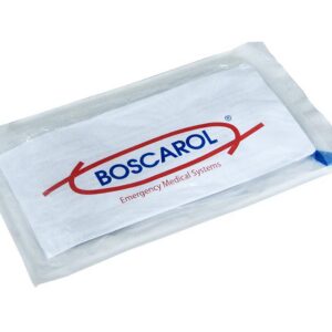 HAND REIMPLANTATION BAG 300x250 MM