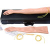 LAERDAL FEMALE MULTI-VENOUS IV TRAINING KIT