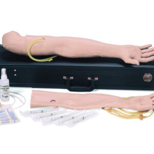 LAERDAL MALE MULTI-VENOUS IV TRAINING KIT