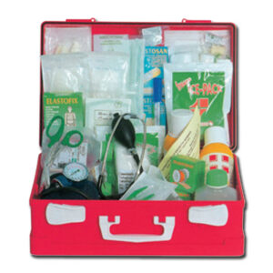 LARGE KIT - plastic case 2