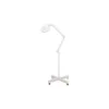 MAGNI+