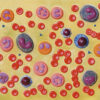 Modelo Anatómico de Células Sanguíneas 2000X – Hematología para Enseñanza y Diagnóstico (Ref. GIMA 40077)