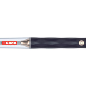 Otoscopio digital con cámara GIMA – Kit de extracción de cerumen con cámara HD 1080P, 6 LED y palas de metal, silicona y plástico (Ref. 31405 / SKU GM31405)
