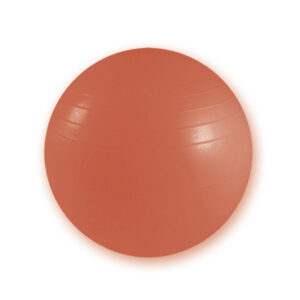 Pelota de ejercicios GIMA «Burst Resistant Ball» anti-reventón Ø 55 cm para rehabilitación y fitness — Ref. GM47102