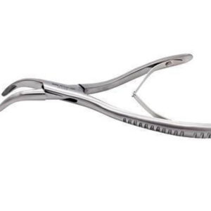 Pinza de extracción curva para pequeños animales en acero inoxidable – 16 cm (Ref. GIMA 80012) | GM80012