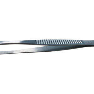 Pinza Durante (Fórceps) 15 cm en Acero Inoxidable – Instrumental Quirúrgico Veterinario GIMA (Ref. 80000)