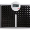 SECA 813 DIGITAL FLAT SCALE