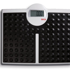 SECA 813 DIGITAL FLAT SCALE