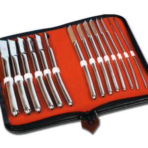 SET OF 14 HEGAR DILATORS - chrome plated