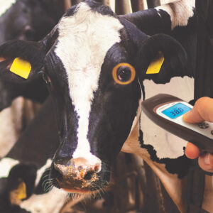 Termómetro infrarrojo veterinario sin contacto VisioFocus Vet con Bluetooth (Ref. GIMA 80457) | Medición corporal 32–43,5 °C y general 1–80 °C, con puntería óptica y app móvil