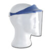 VISOR SHIELD