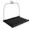 WUNDER RW2.0 DIGITAL PLATFORM SCALE WITH HANDRAIL 300 kg - Class III
